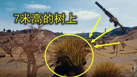 绝地求生: 趴在7米多高的树上, 他用消音mini, 把敌人狙到哭
