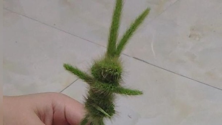 巧手童趣—用狗尾草编小兔子的详细视频教程, 简单易制作