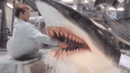 99年的《深海狂鲨》, 丝毫不比《大白鲨》差, 高智商鲨鱼的复仇