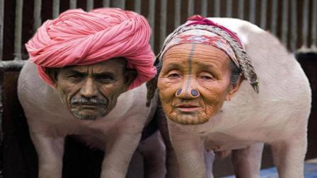 印度农民大叔被ps大神恶搞, 瞬间变成了二师兄