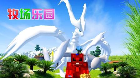 秀色解说 我的世界神奇宝贝世代60 精灵牧场乐园