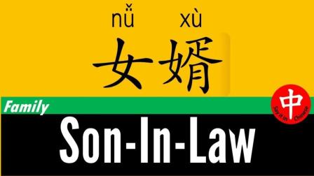 SON-IN-LAW用汉语普通话怎么读? 汉字
