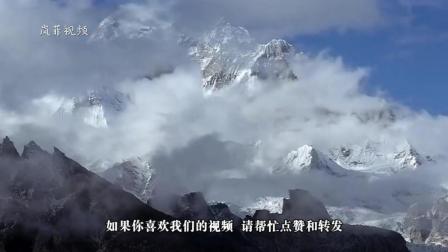 地球上飞得最高的动物, 能征服珠穆朗玛峰, 专家说: 那是被逼的
