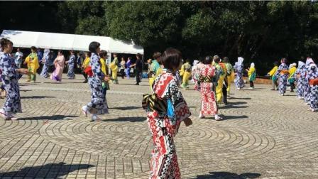 日本传统舞蹈, 在民间一直很火, 日语音乐柔和动作舒缓飘逸