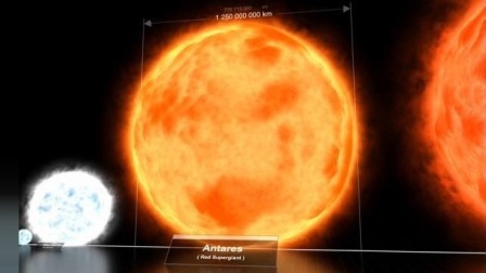 与其他恒星相比, 我们的太阳有多大?