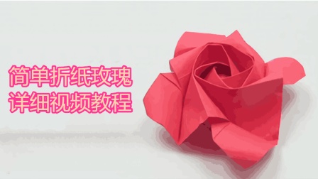 详细折纸玫瑰视频教程, 教你折纸一朵漂亮的玫瑰花, 简单好学!