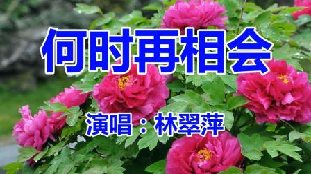 林翠萍: 粤语歌曲《三年的等待》经典老歌 伤感