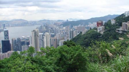 全港最优越的地理位置, 俯瞰维多利亚港夜景, 来香港必打卡之地!