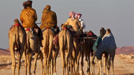 “沙漠骆驼”女人骑着骆驼穿越240公里沙漠, 换取6个月的日常供给