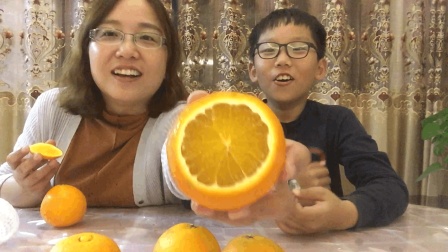 试吃&ldquo;网红果冻橙&rdquo;, 切开看着很漂亮, 吃起来真的像果冻吗?