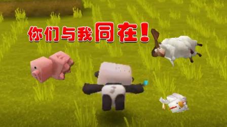 迷你世界生存 野生牧场的悲惨故事