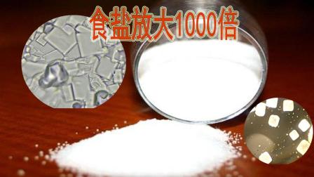 食盐放大1000倍是什么样子? 进入了一个梦幻水晶世界
