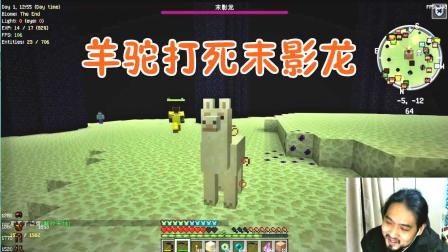 我的世界冰火大陆14 作为一只羊驼, PK末影龙, 你站哪边?