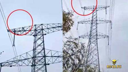 危险! 熊孩子爬70米高压电塔 致周围高压电网全瘫痪