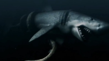 千年巨兽之间对决，史前巨齿鲨大战巨型乌贼，实在太精彩了