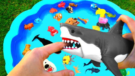 蓝色海洋池玩动物玩具学习动物园动物海洋动物名称