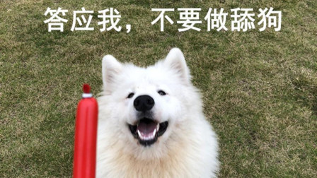 太现实了吧我的熊, 给吃的才肯听我话