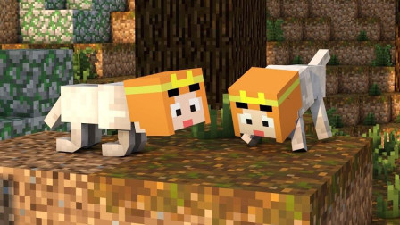 小龙我的世界MC动物躲猫猫EP13动物两连胜E Minecraft服务器小游戏搞笑视频