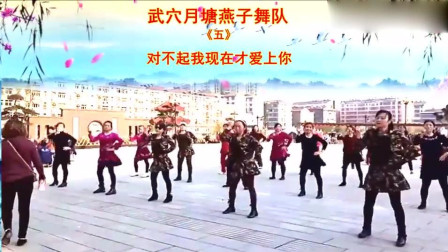 燕子广场舞《对不起我现在才爱上你》这团队也是厉害了。