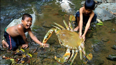 荒野求生: 农村小孩捉了一个大螃蟹熬汤喝, 这么大螃蟹我能吃两天