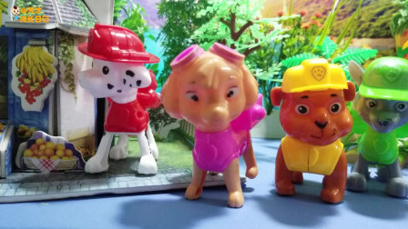 汪汪队玩具故事：小狗毛毛开了一家水果店，噢，真了不起！