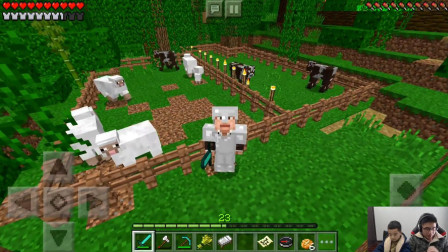 我的世界熊猫版本纯净生存：牛圈和羊圈