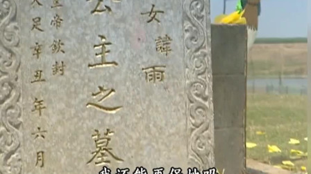武则天不计前嫌，追封刺客东方雨为公主，陶甘却要保护妻子的仇人