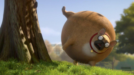 搞笑动画：当所有动物胖成球，小狗也胖成了猪！