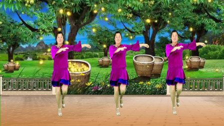 红豆广场舞精选《红枣树》美丽时尚又大方！