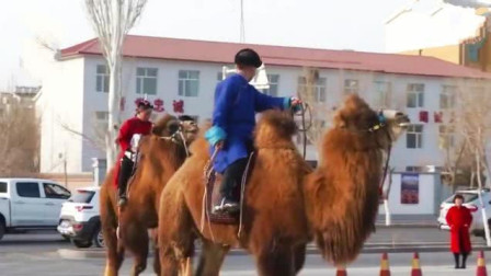 这回真解释不清楚了！内蒙古一学校学生开学骑骆驼和马报到