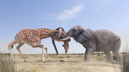 大象用鼻子和长颈鹿打架谁会是最后的胜利者场面真的是太搞笑了