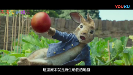 真人动画《比得兔》超萌兔子上演人兔大战，欢乐不停