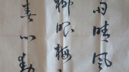 书法:暖雨晴风初破冻,柳眼梅腮,已觉春心动