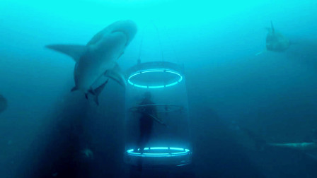 巨齿鲨：探险队在海底世界遇见的巨形怪兽，一口能吃掉一艘潜艇