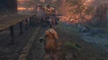 只狼 纯无脑0分险无伤 蚺蛇重藏