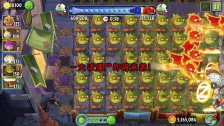 全屏5阶火龙草，上100万分！