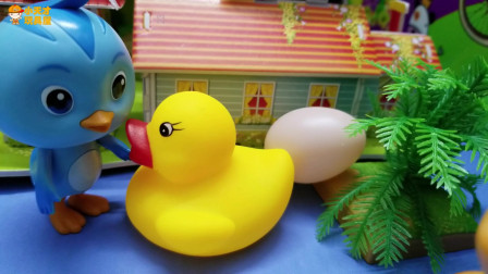 萌鸡小队玩具故事：哇，鸭太太生蛋宝宝了呢！