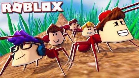 Roblox 蚂蚁模拟器！变成了一只兵蚁，和别的蚂蚁战斗，抢夺食物！