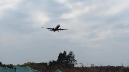 广州白云机场：国航波音737“牡丹花”彩绘机降落！