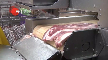 美国肉制品工厂，培根的制作过程