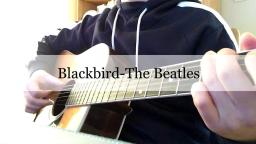 吉他弹唱披头士名曲Blackbird