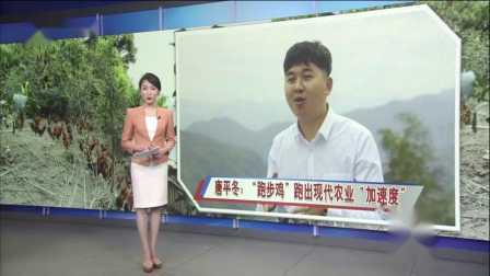 新闻深一度 2019 2019中国世界园艺博览会即将开始