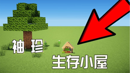 我的世界：2x4生存小屋，网友：这么袖珍，你怎么住的进去？