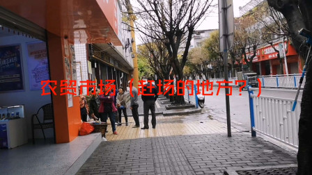第6集: 重庆市巴南区接龙镇，小镇周边无景区，为何人气却很旺！