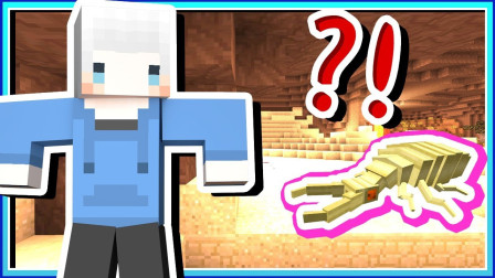 小白解说我的世界炼金与巨兽04 从昆虫世界回来啦 非常煎熬的冒险