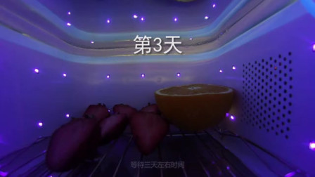 59秒第四代LED紫外线消毒柜的效果效果如何？惊讶发现水果丝毫无改变？太神奇了