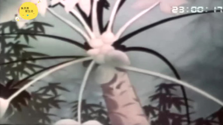 1959.森林之王（tv采集）精彩片段（6）