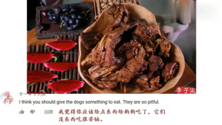 老外看中国：外国人围观李子柒冬日做酱香大骨，网友评论：这是在地球上吗？