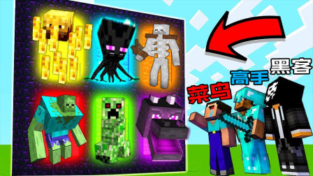 我的世界Minecraft菜鸟vs高手vs黑客：动画中的怪物变种入口