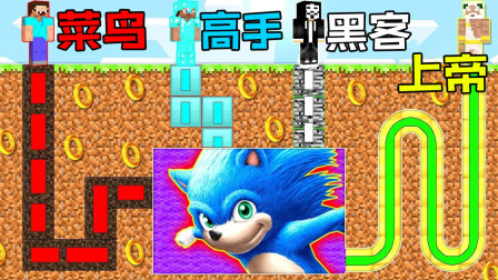我的世界Minecraft菜鸟vs高手vs黑客vs上帝：刺猬索尼克迷宫挑战